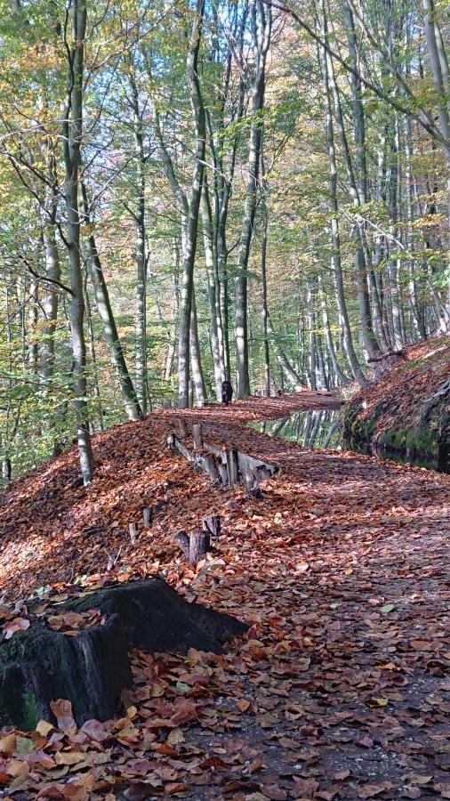 לינה וארוחת בוקר Milsbeek De Sprokkel מראה חיצוני תמונה